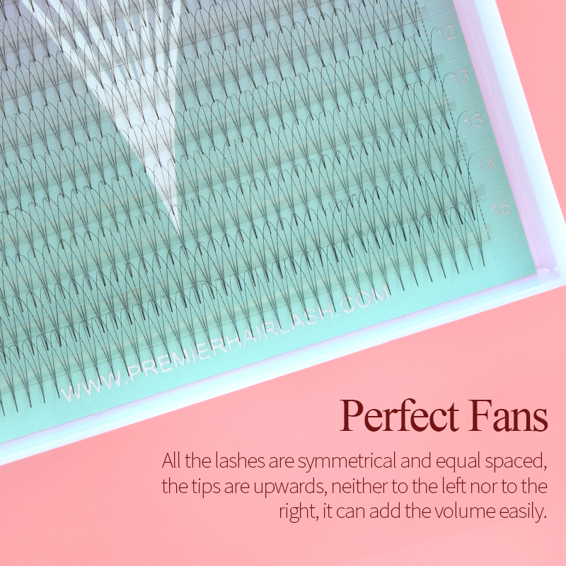 Song Lashes 3D8D10D Pointy Bas - Eyelash Extension Korean Style review and price
