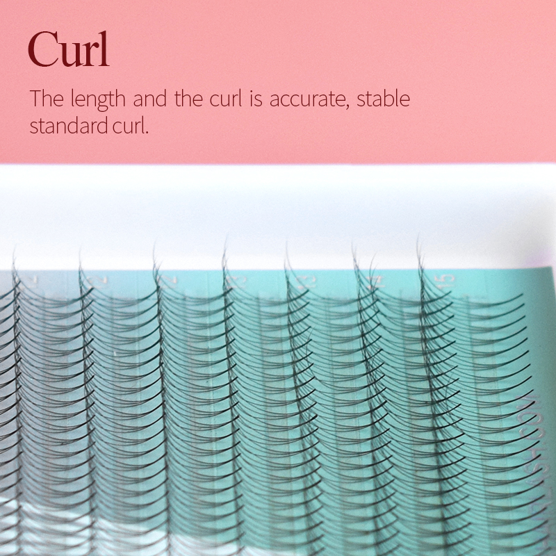 Song Lashes 3D8D10D Pointy Bas - Eyelash Extension Korean Style review and price