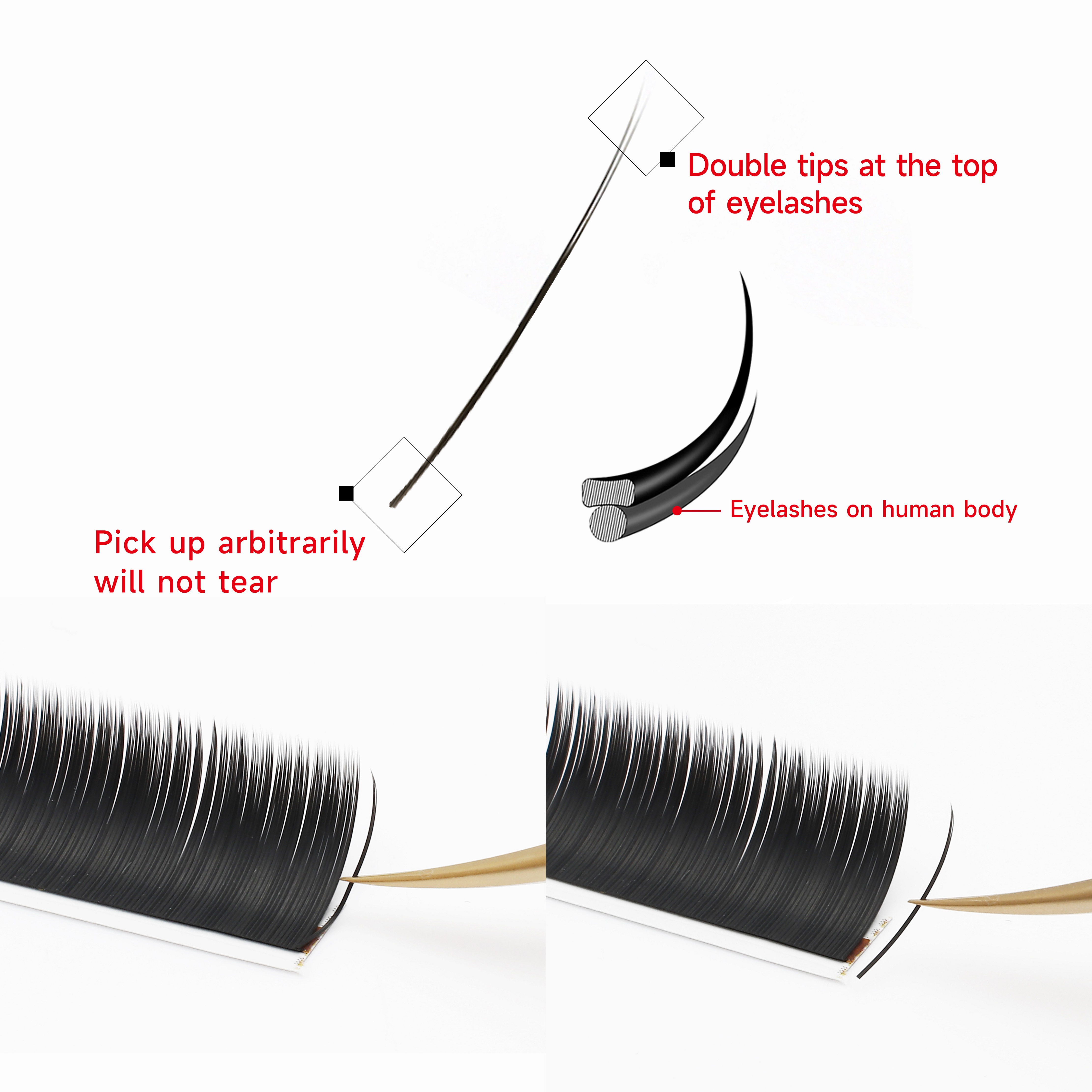 XIUSUZAKI Flat Ellipse Eyelash - Eyelash Extensions Classic review and price